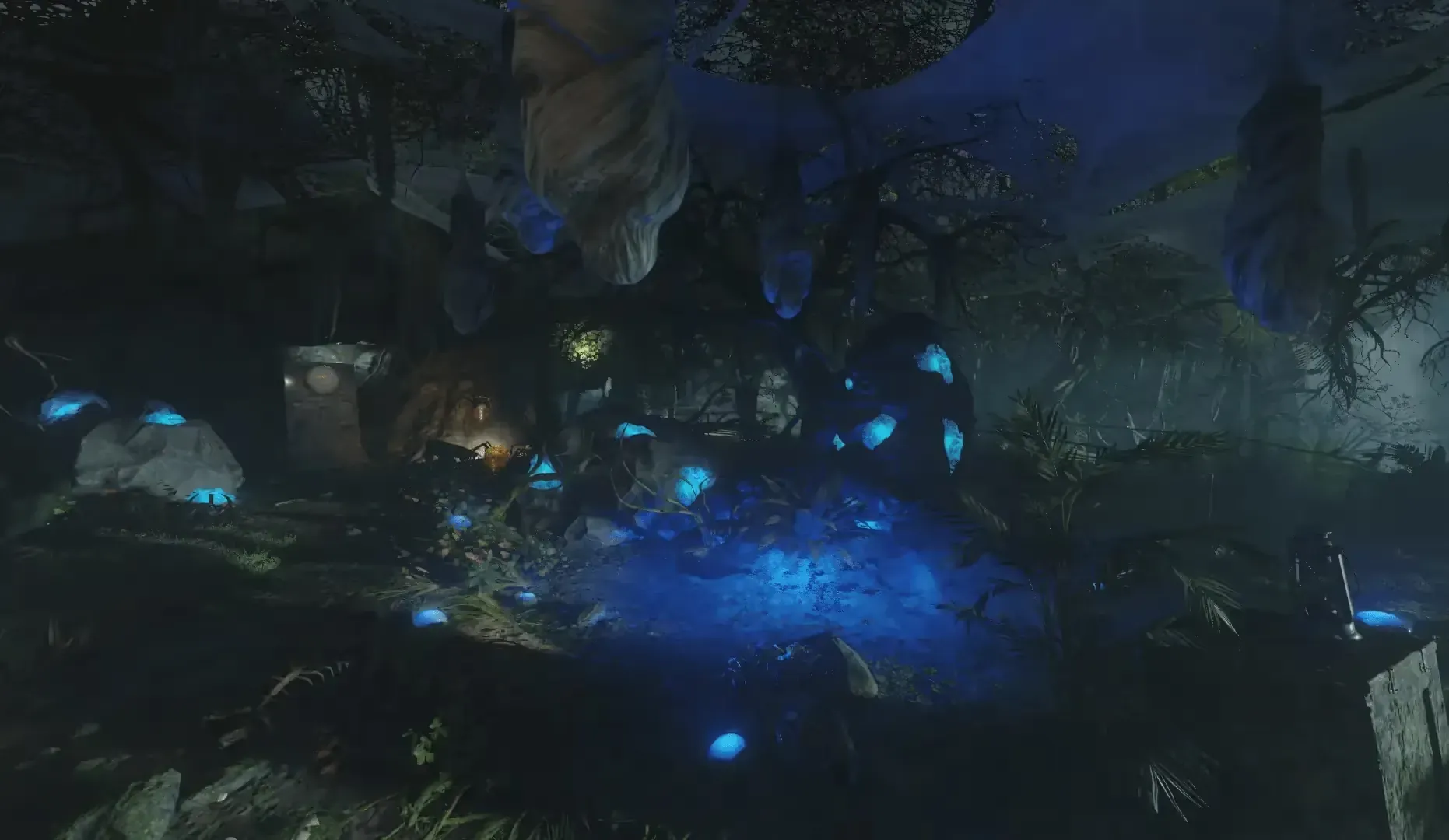 Blue water: the pool behind Lab A, beside the webbed cave entrance.