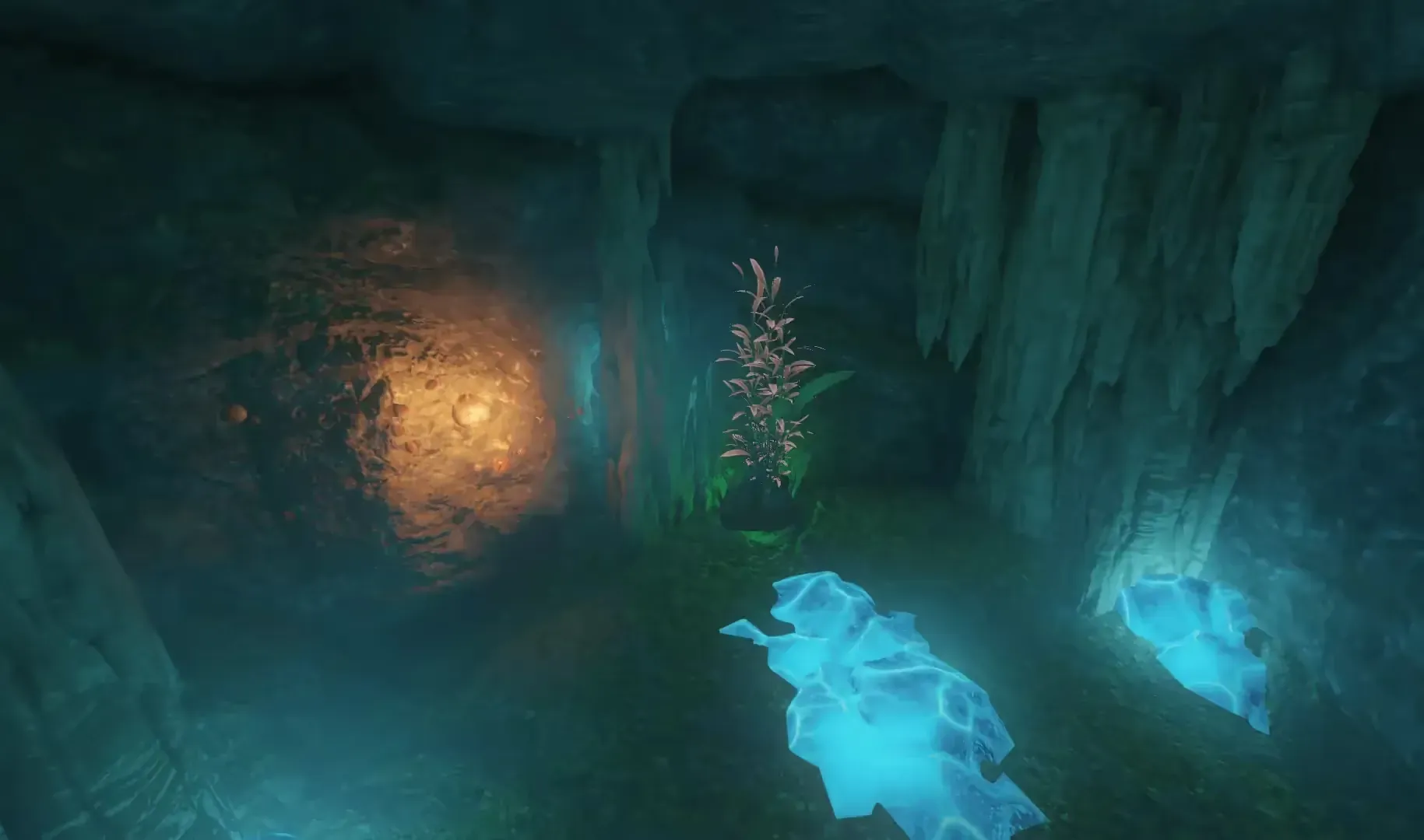 The first plant is deep in the underwater cave.