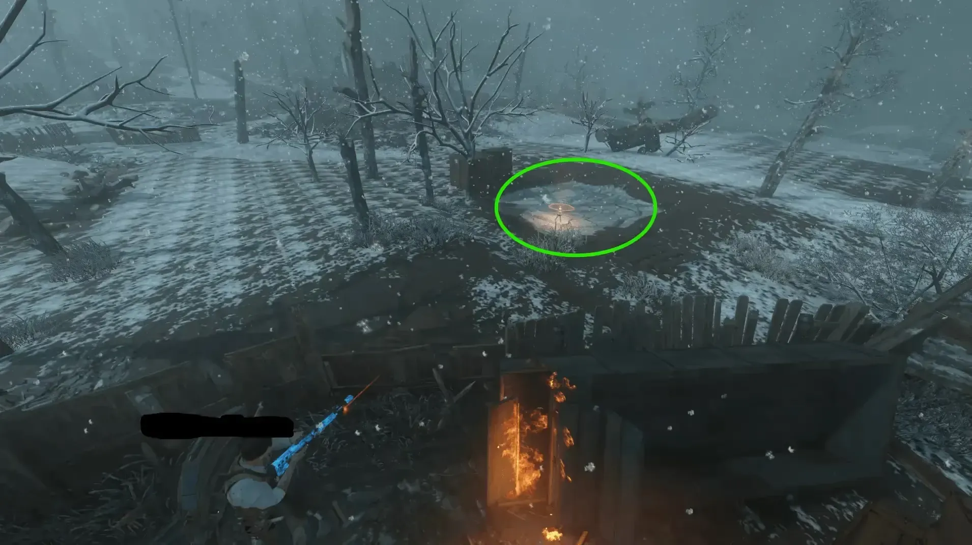 Seal outside the map near Gen 5